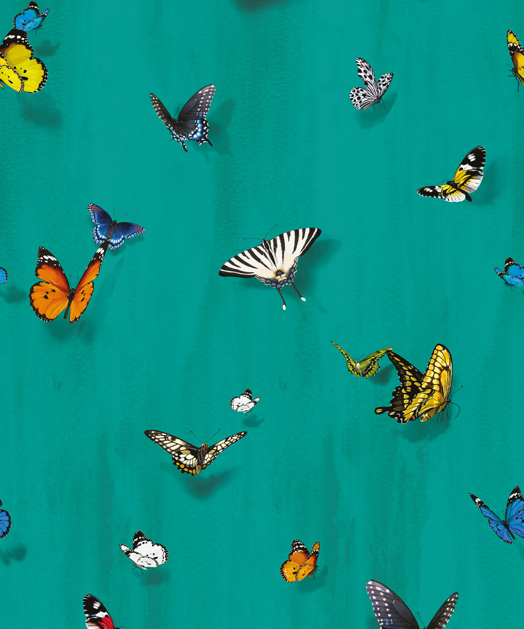 Papilio Wallpaper, Peacock