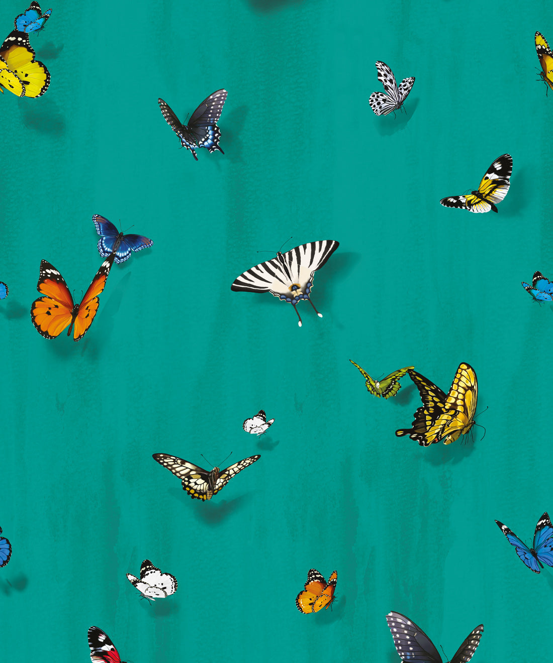Papilio Wallpaper, Peacock