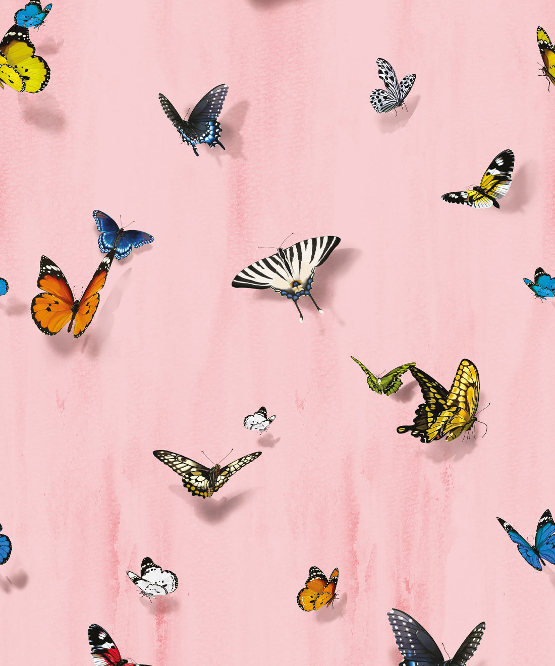 Papilio Wallpaper, Pink