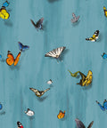 Papilio Wallpaper, Robin Blue