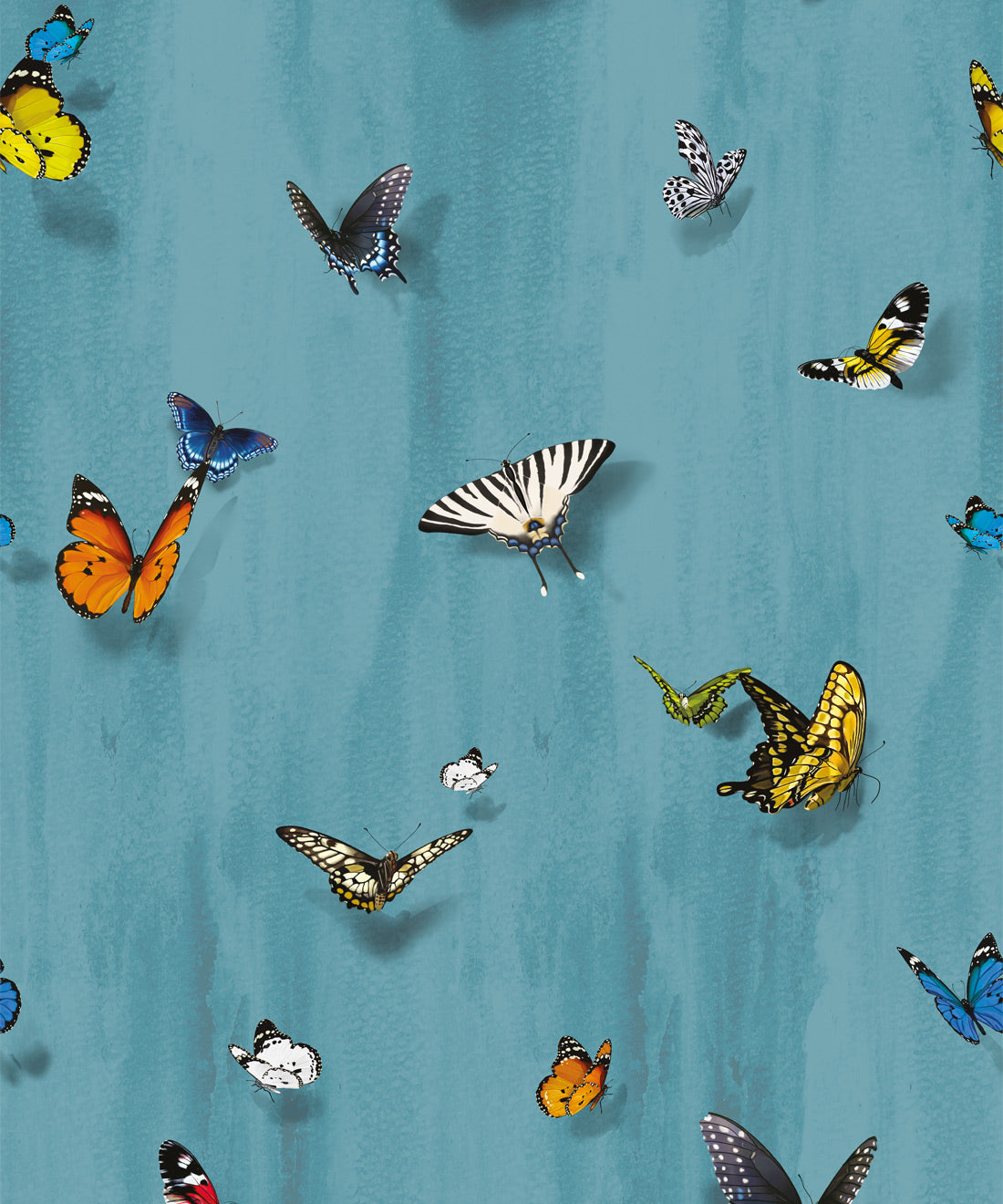 Papilio Wallpaper, Robin Blue