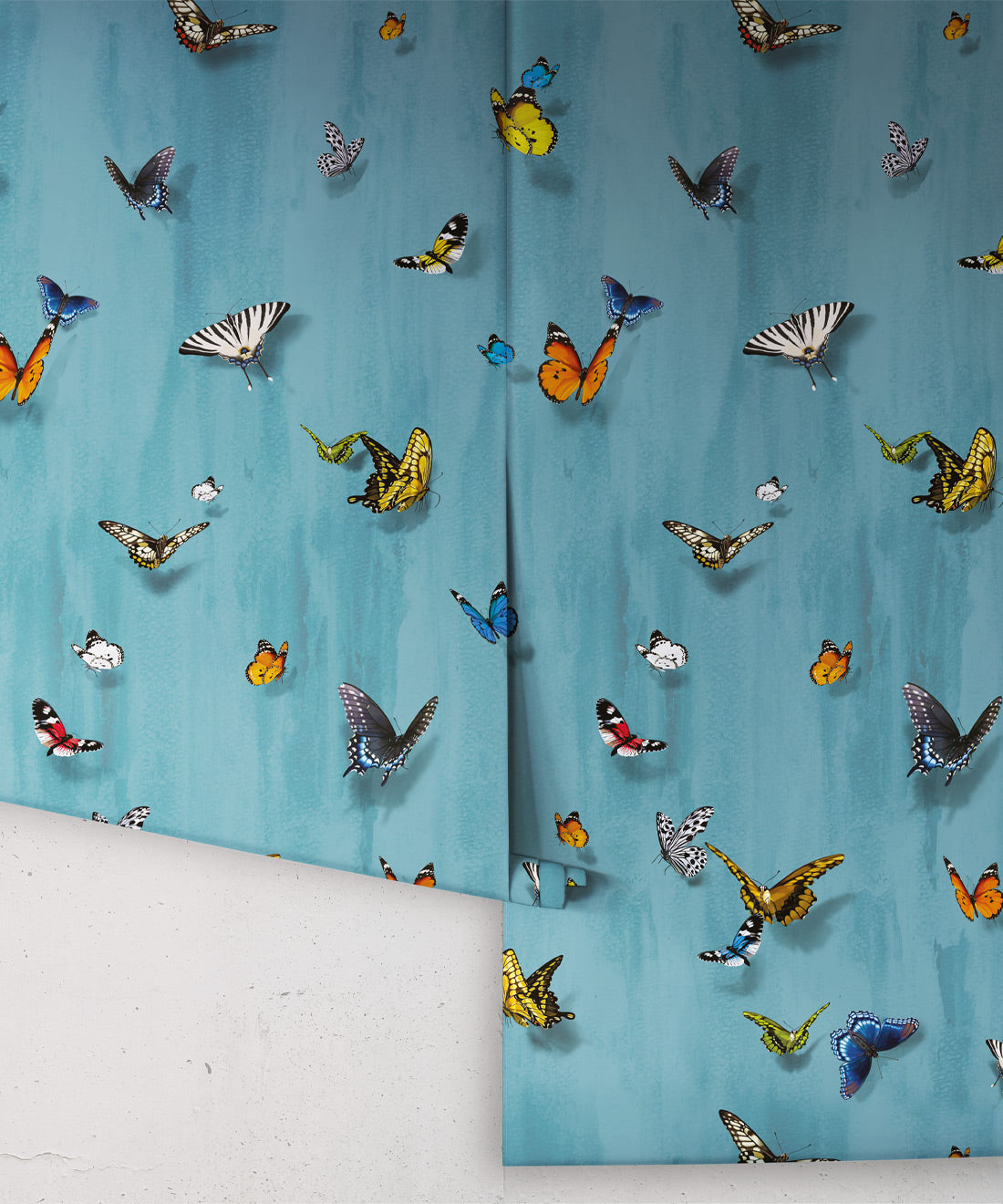 Papilio Wallpaper, Robin Blue