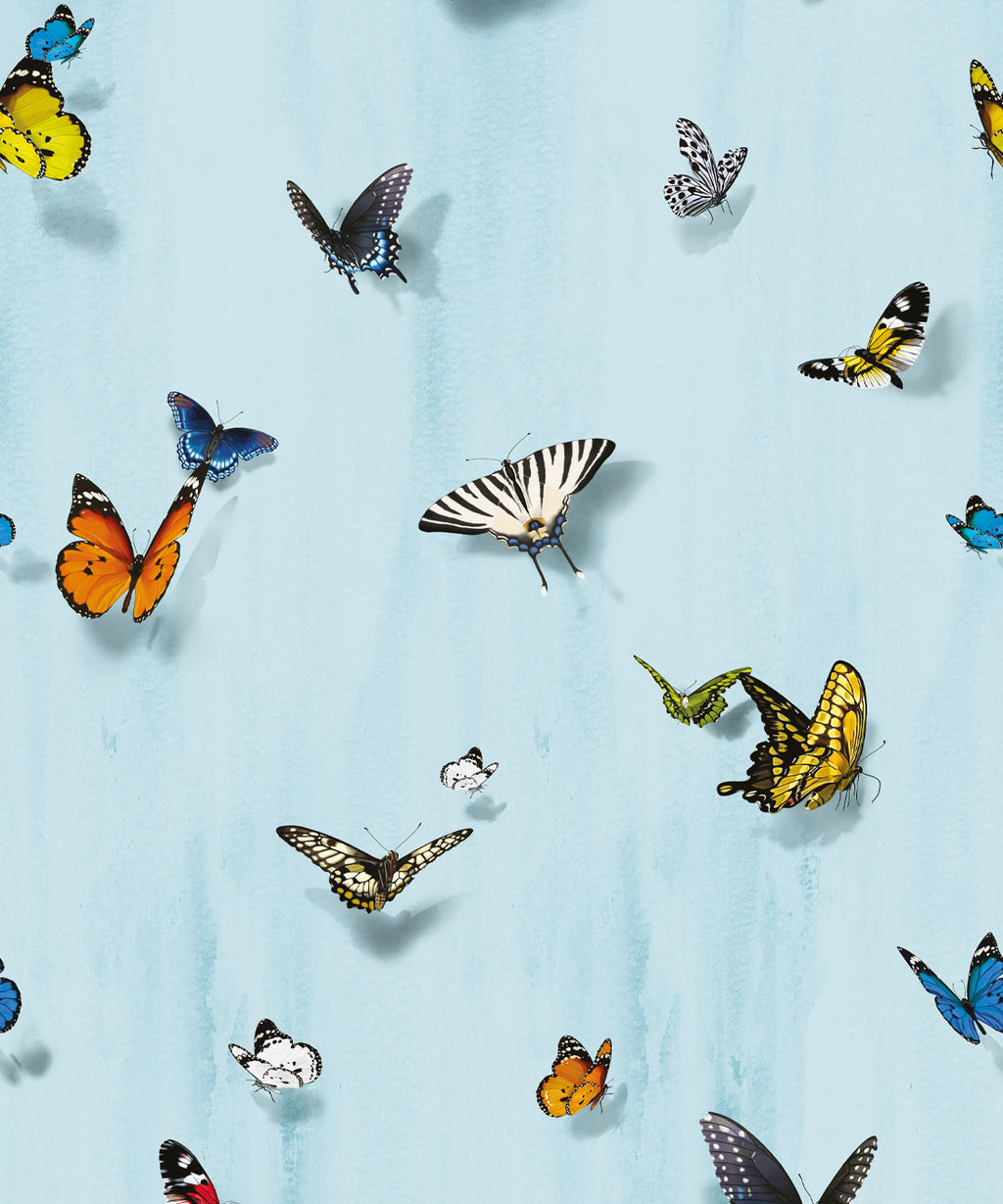 Papilio Wallpaper, Sky