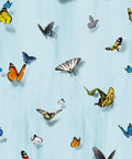Papilio Wallpaper, Sky
