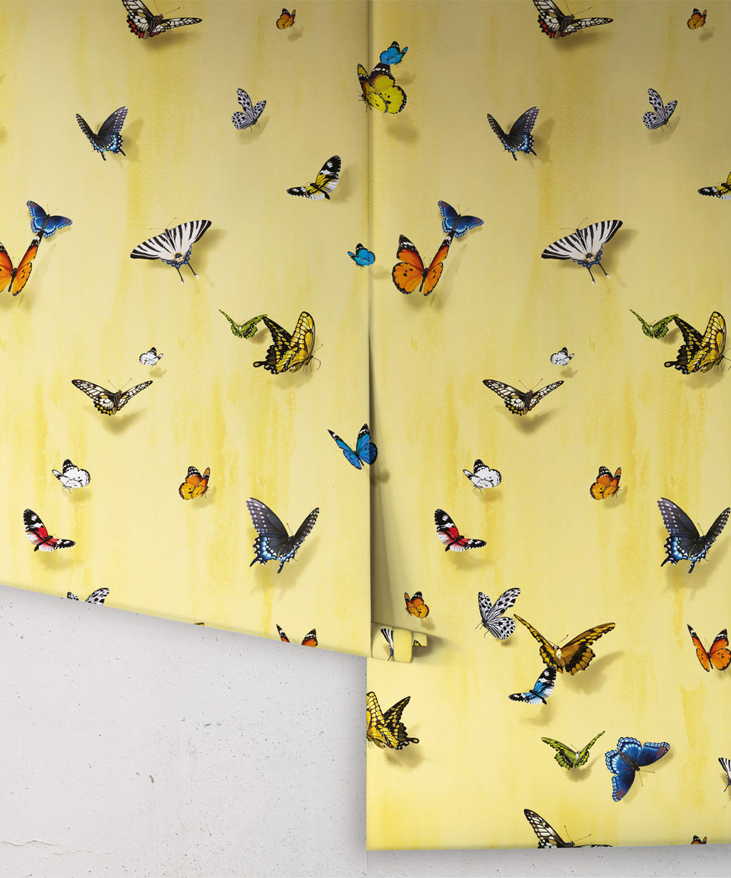 Papilio Wallpaper, Sunrise
