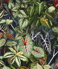 Verde Wallpaper, Blu