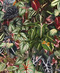 Verde Wallpaper, Coral