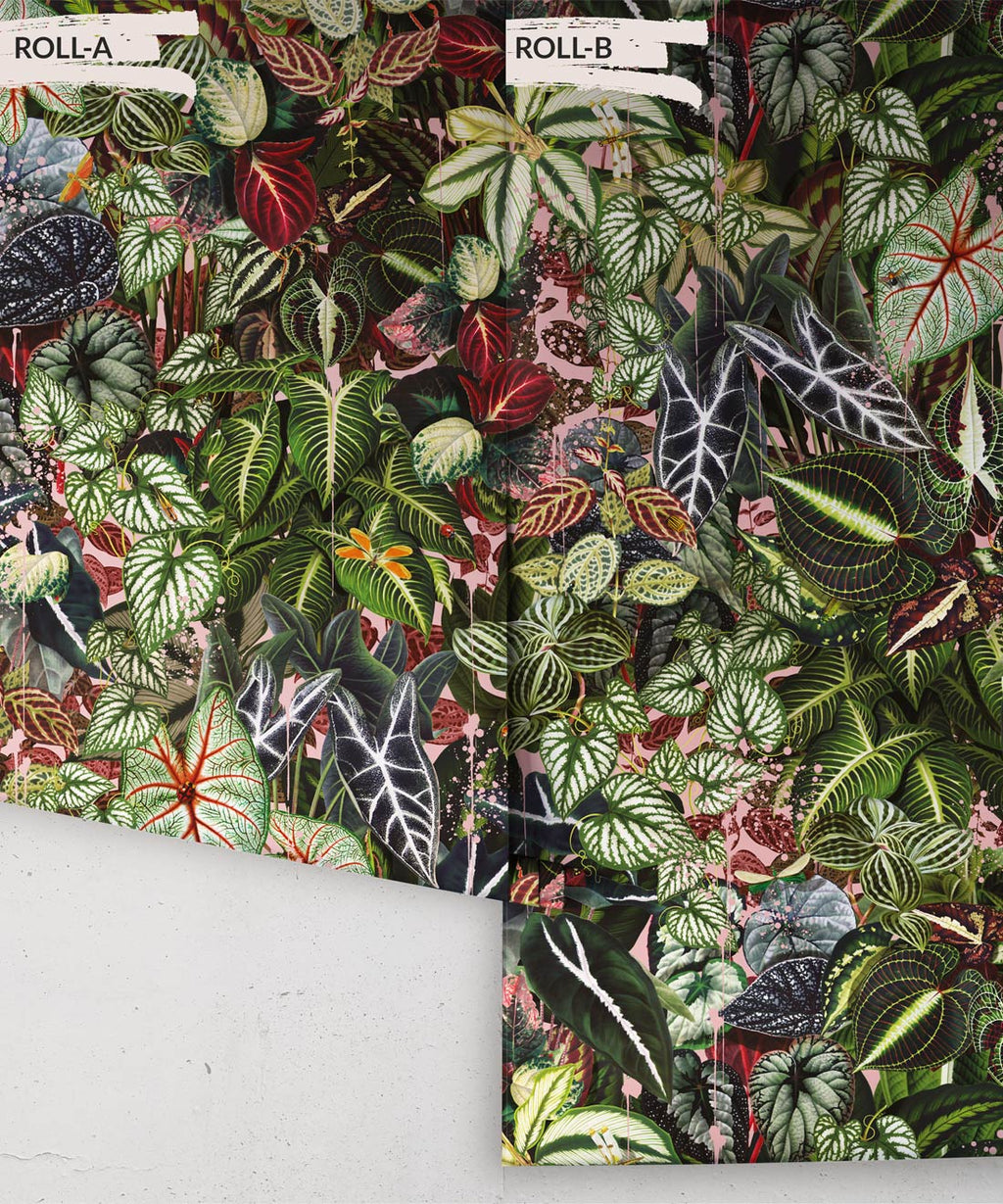 Verde Wallpaper, Coral