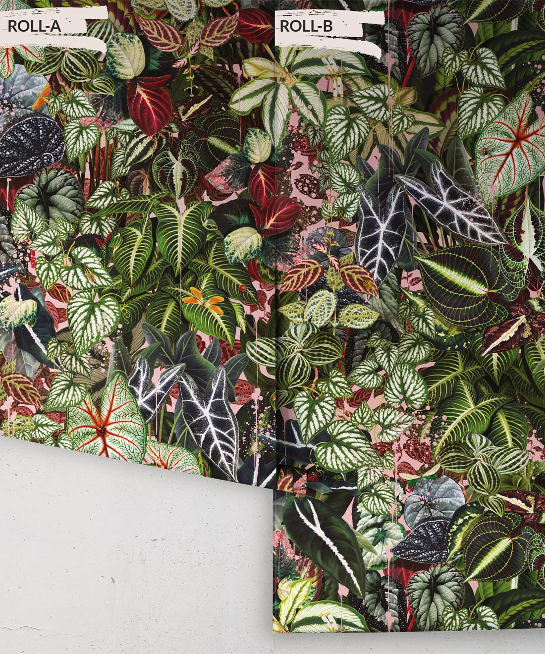 Verde Wallpaper, Coral