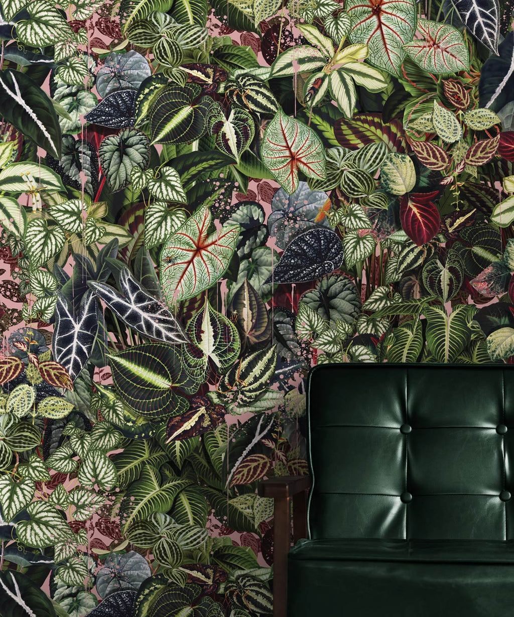 Verde Wallpaper, Coral