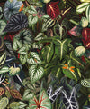 Verde Wallpaper, Jungle