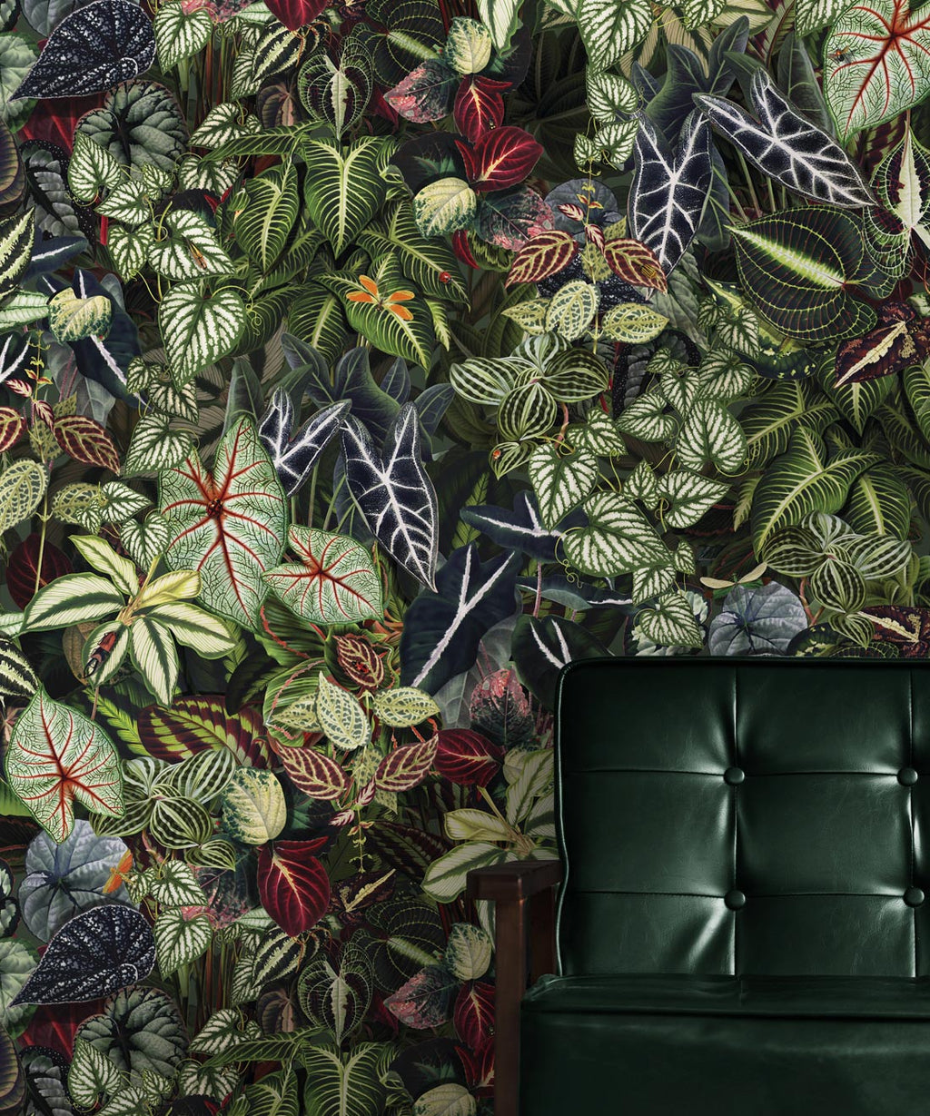 Verde Wallpaper, Jungle