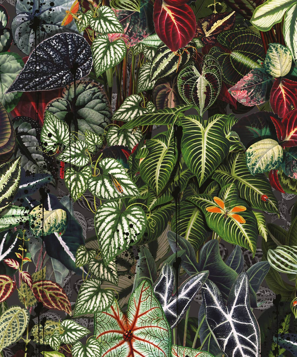 Verde Wallpaper, Night
