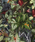 Verde Wallpaper, Night