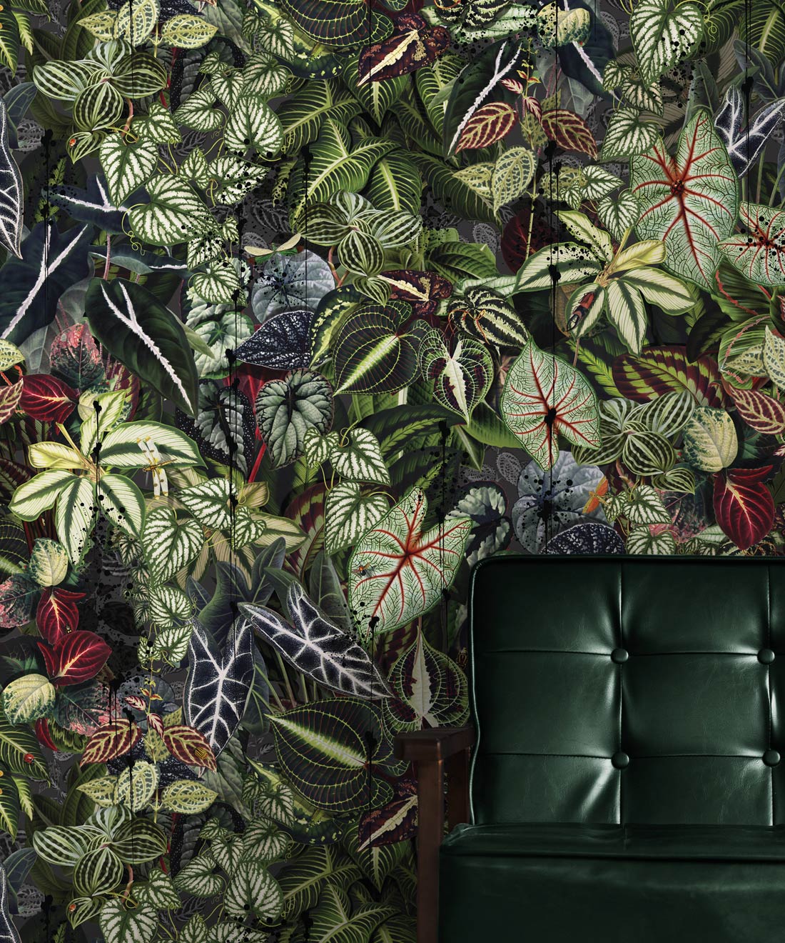 Verde Wallpaper, Night