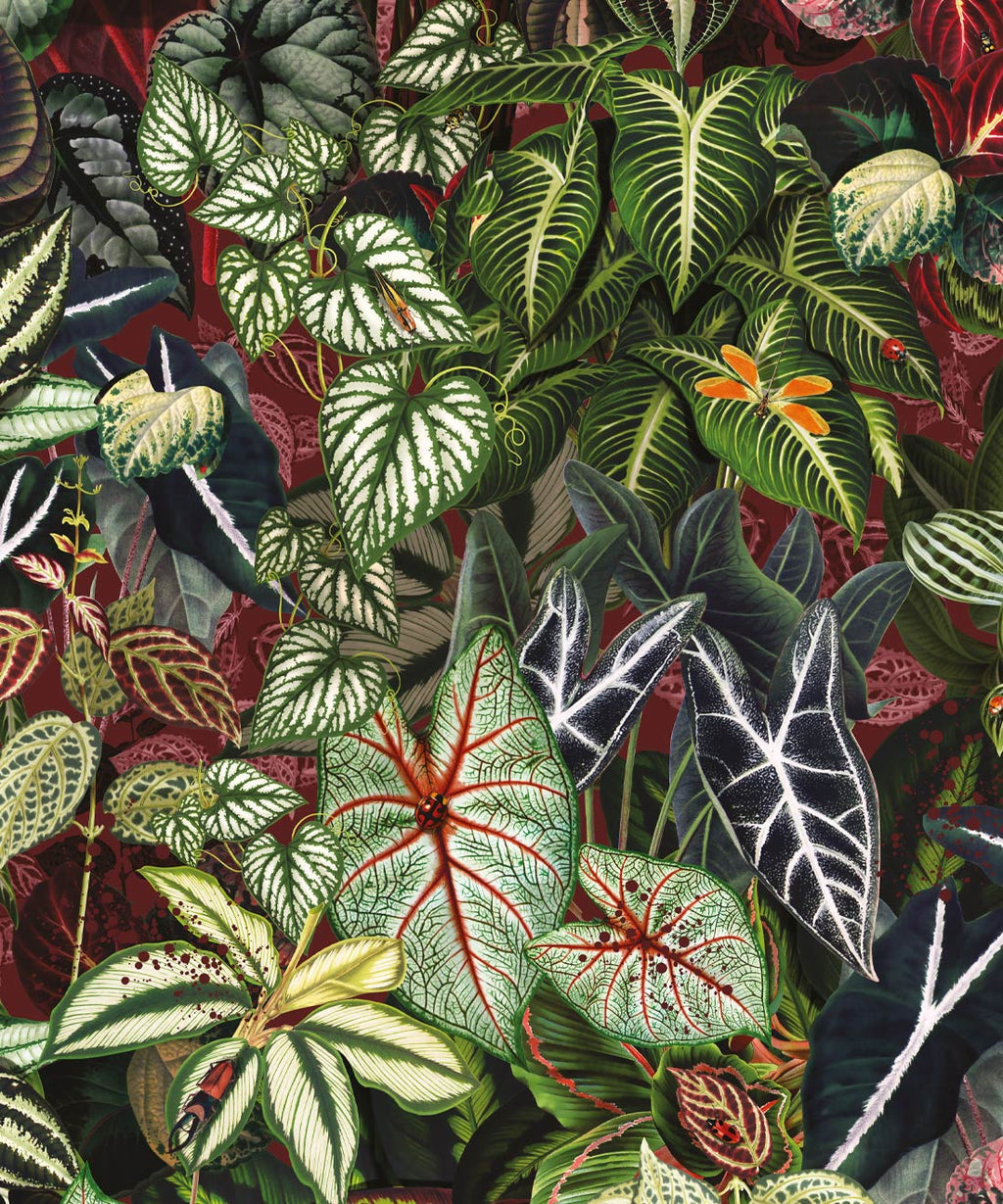 Verde Wallpaper, Ruby