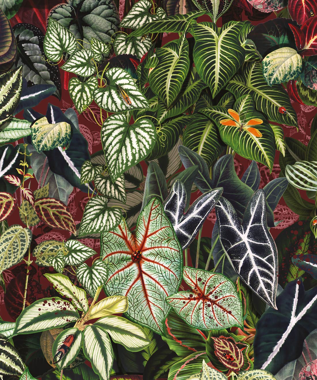 Verde Wallpaper, Ruby