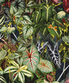 Verde Wallpaper, Sprout