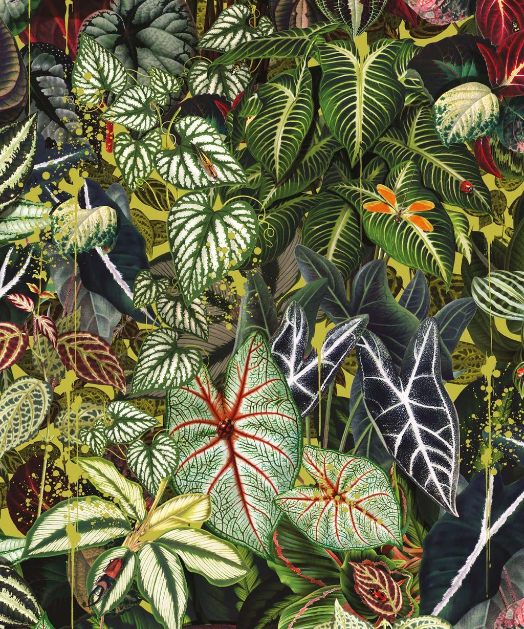 Verde Wallpaper, Sprout