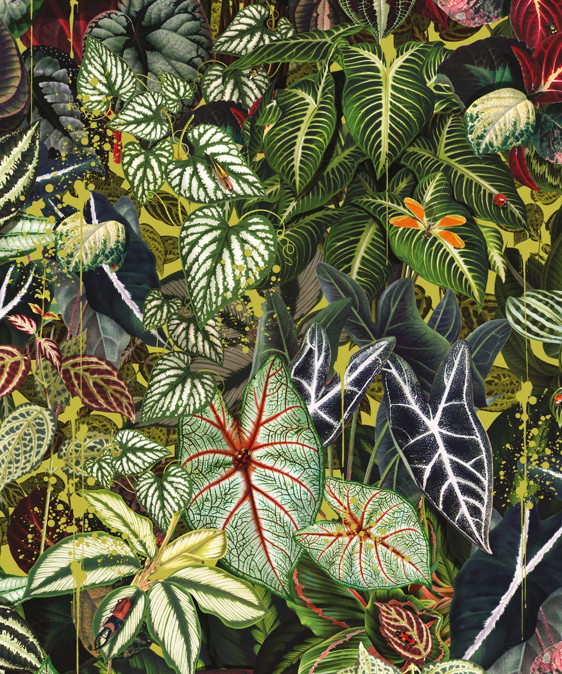 Verde Wallpaper, Sprout