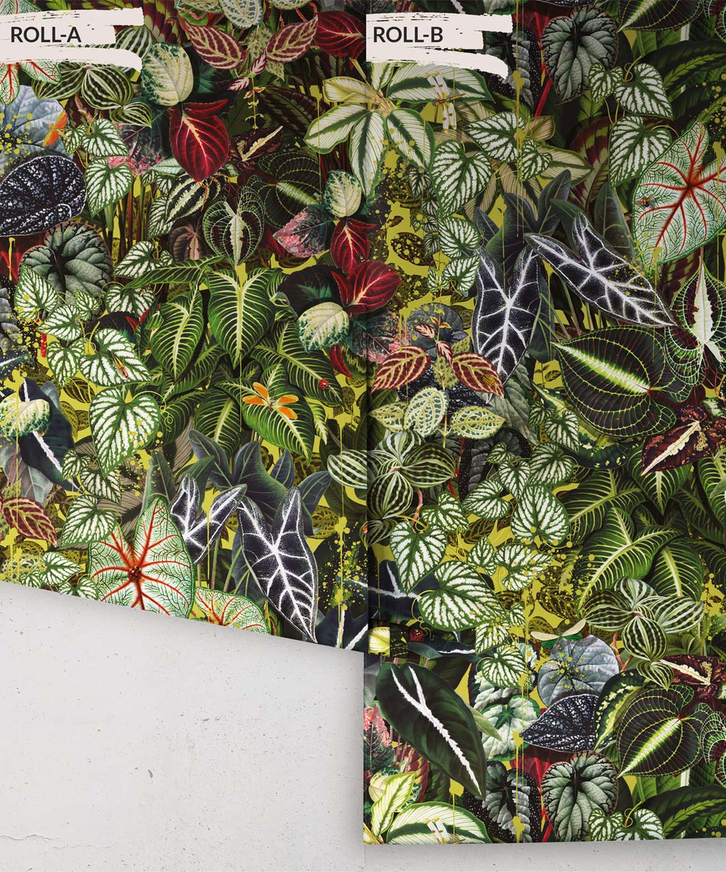 Verde Wallpaper, Sprout