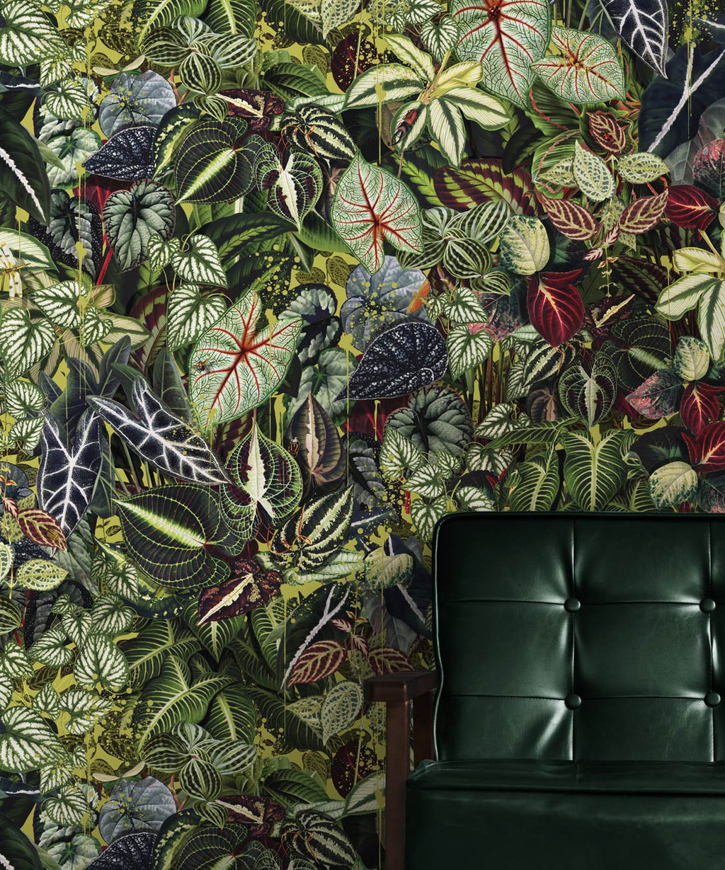 Verde Wallpaper, Sprout