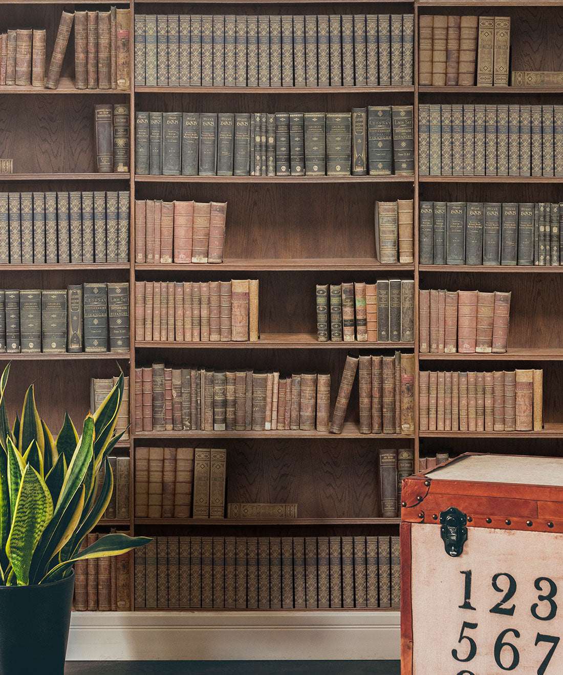 Bookshelf Wallpaper
