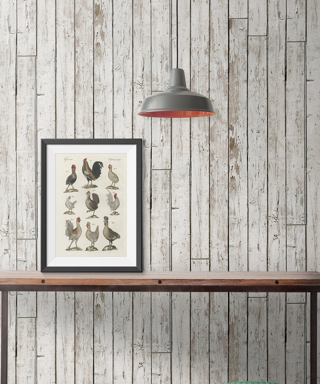 Pally Post Office Wallpaper