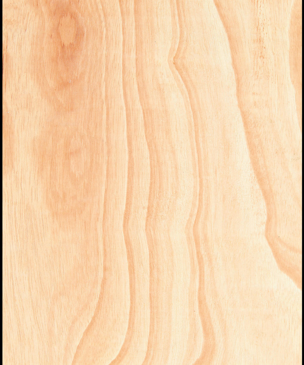 Ply Wood Wallpaper