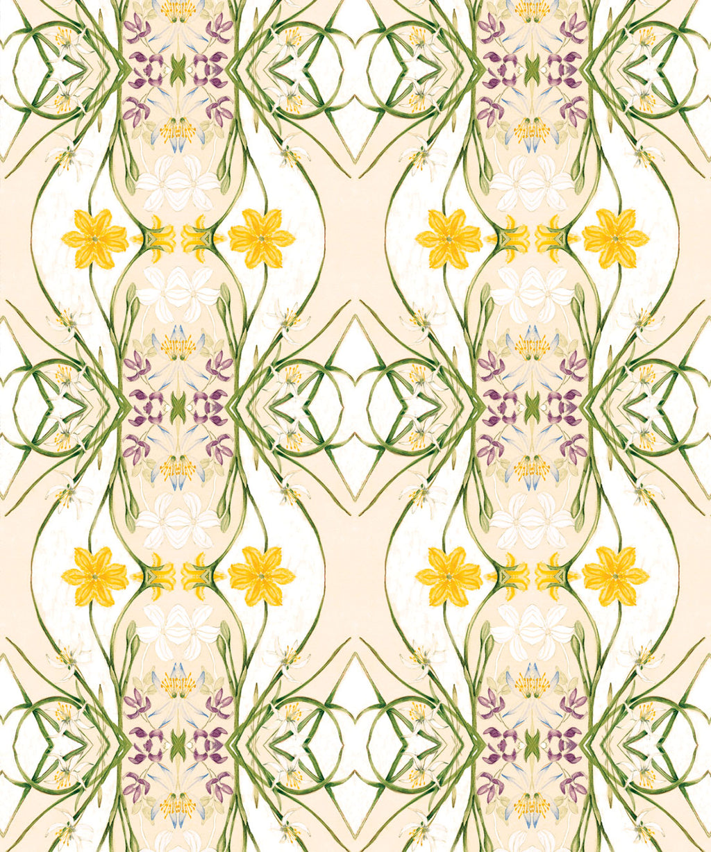 Euphemia 1 Wallpaper