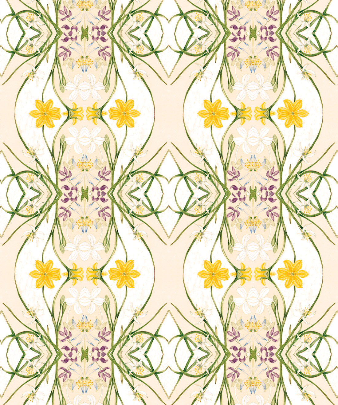 Euphemia 1 Wallpaper