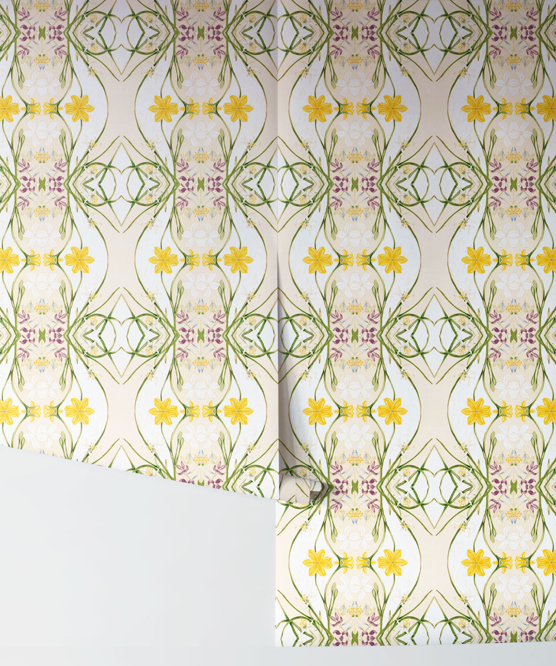Euphemia 1 Wallpaper