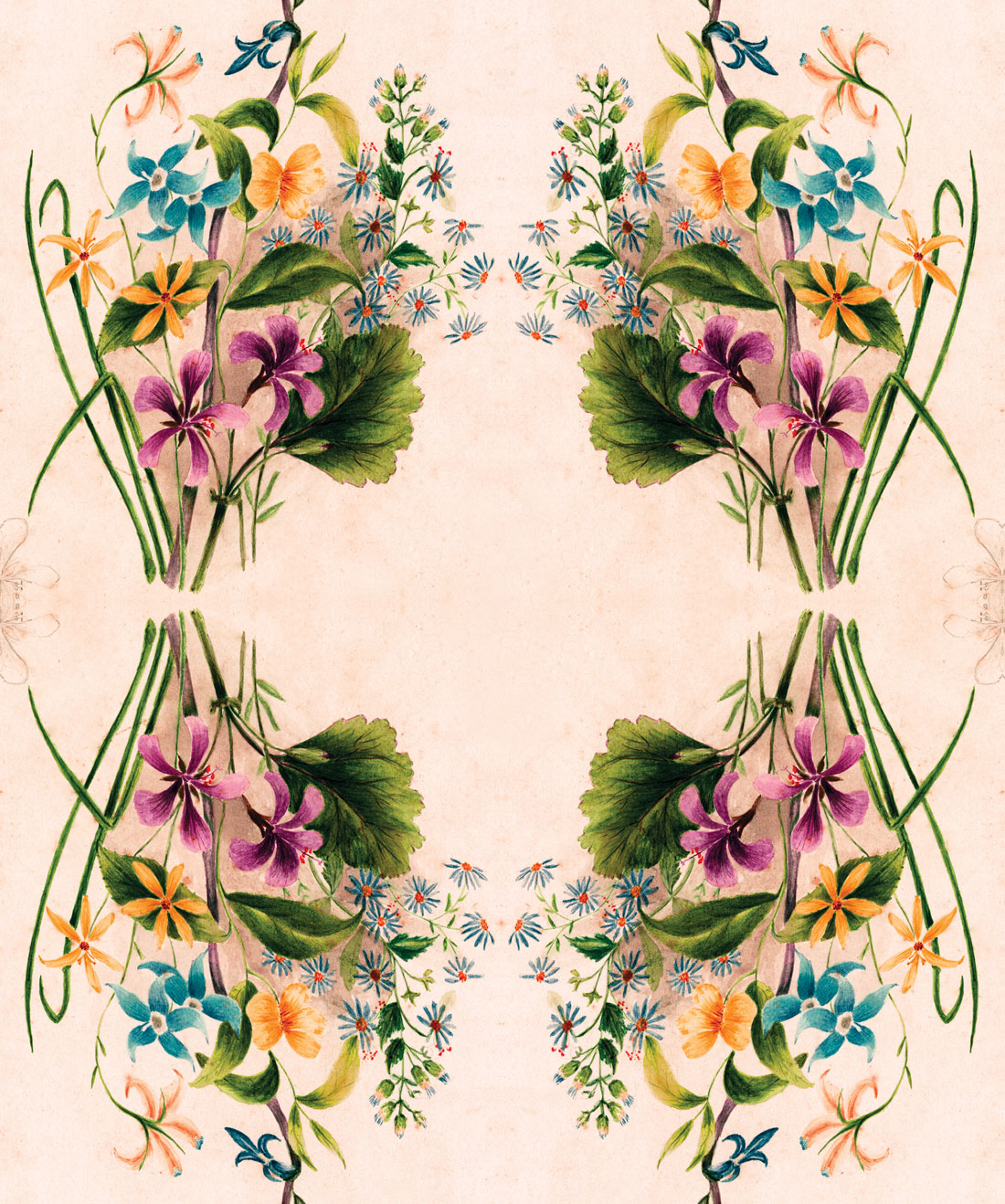 Euphemia 1 Wallpaper