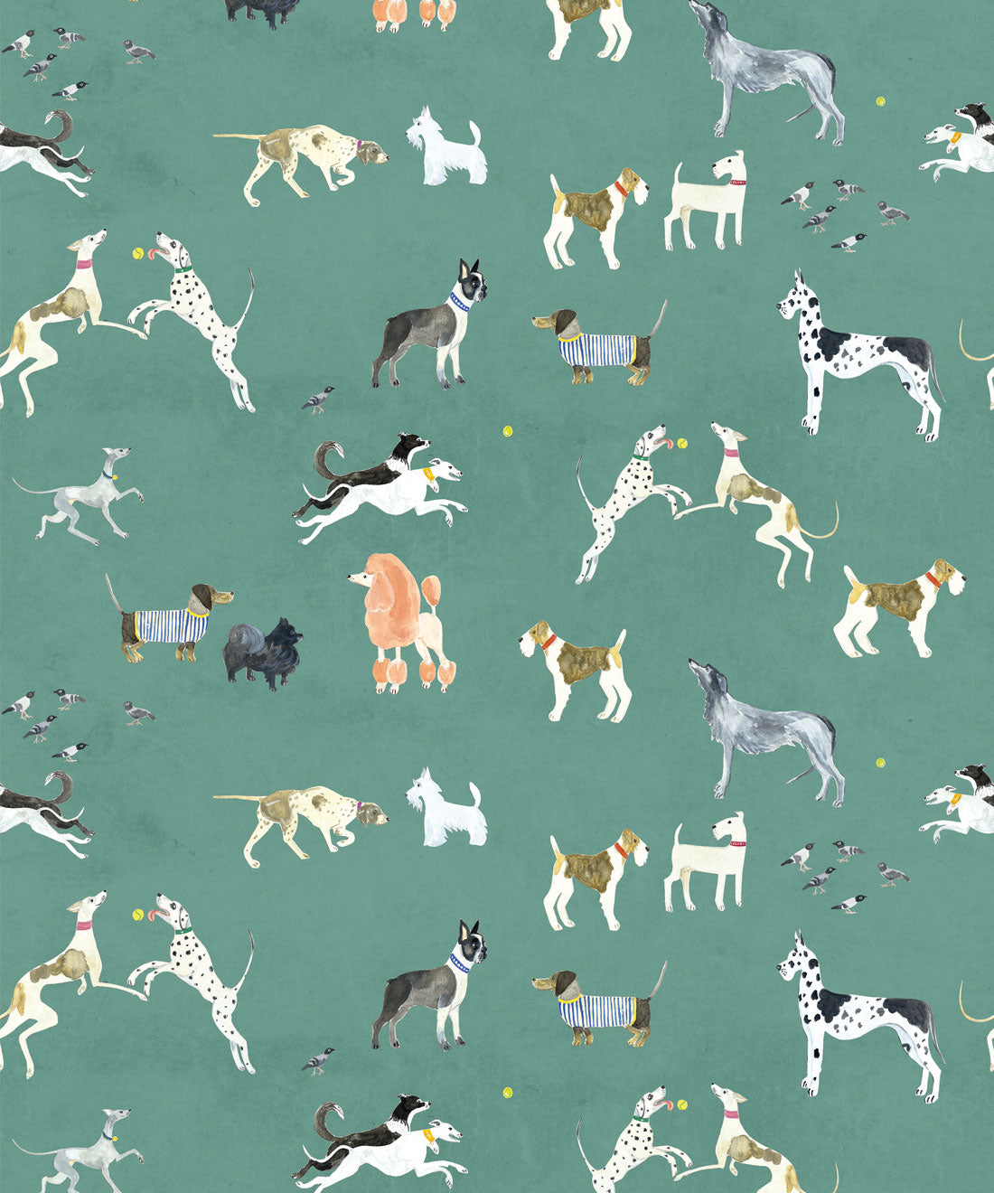 Doggies Wallpaper, Turquoise