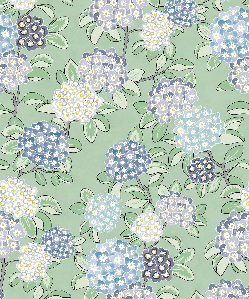 Hydrangea Wallpaper, Sea Spray