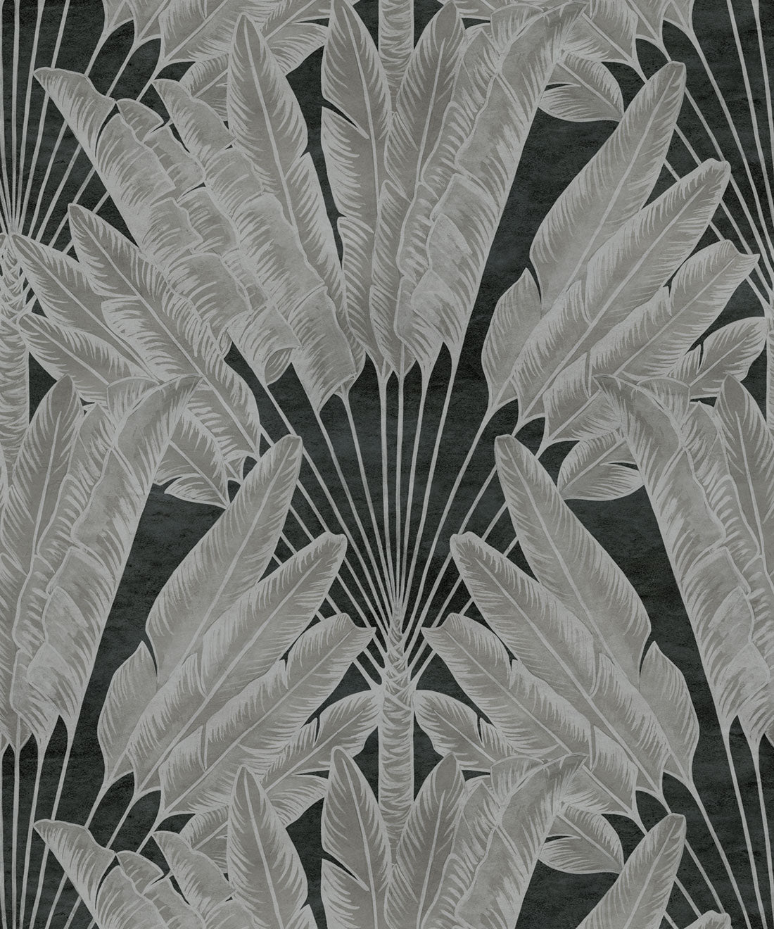 Travelers Palm Wallpaper, Charcoal