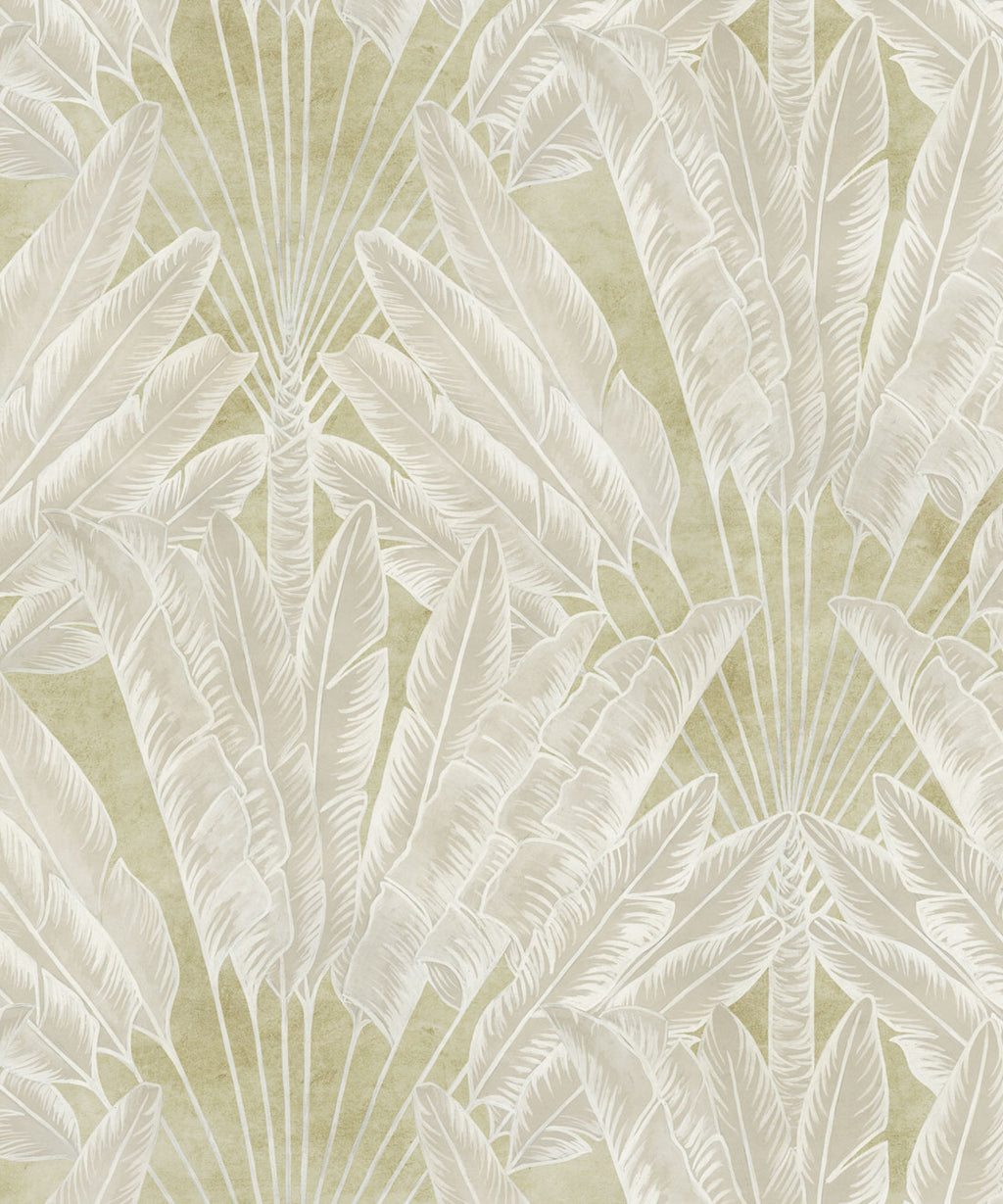 Travelers Palm Wallpaper, Chartreuse