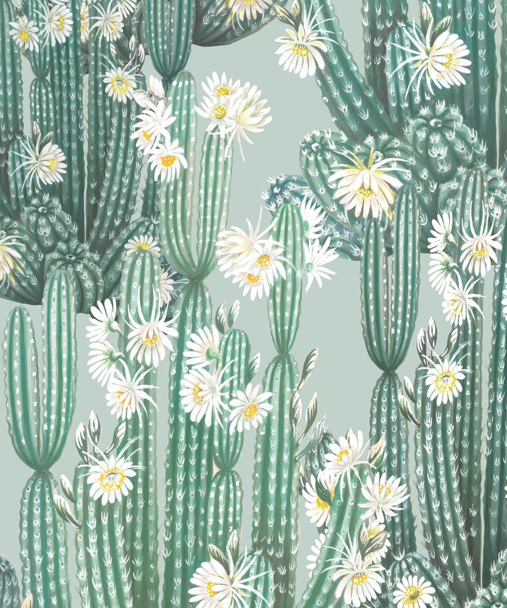 San Pedro Wallpaper, Green Aqua