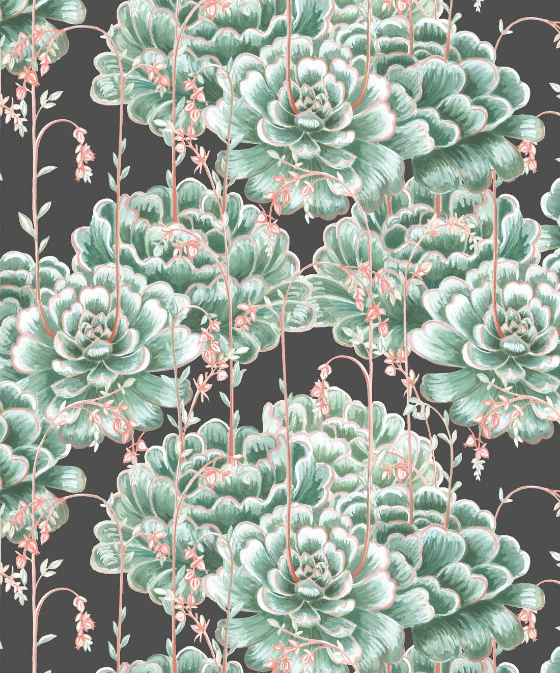 Succulents Wallpaper, Green Charcoal