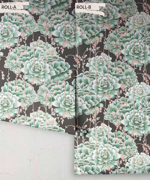 Papel tapiz Succulents, verde carbón