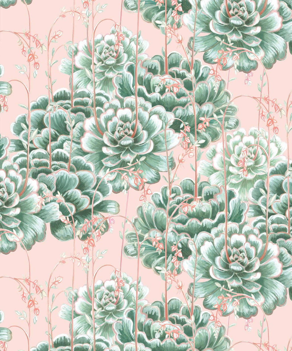 Succulents Wallpaper, Green Pink