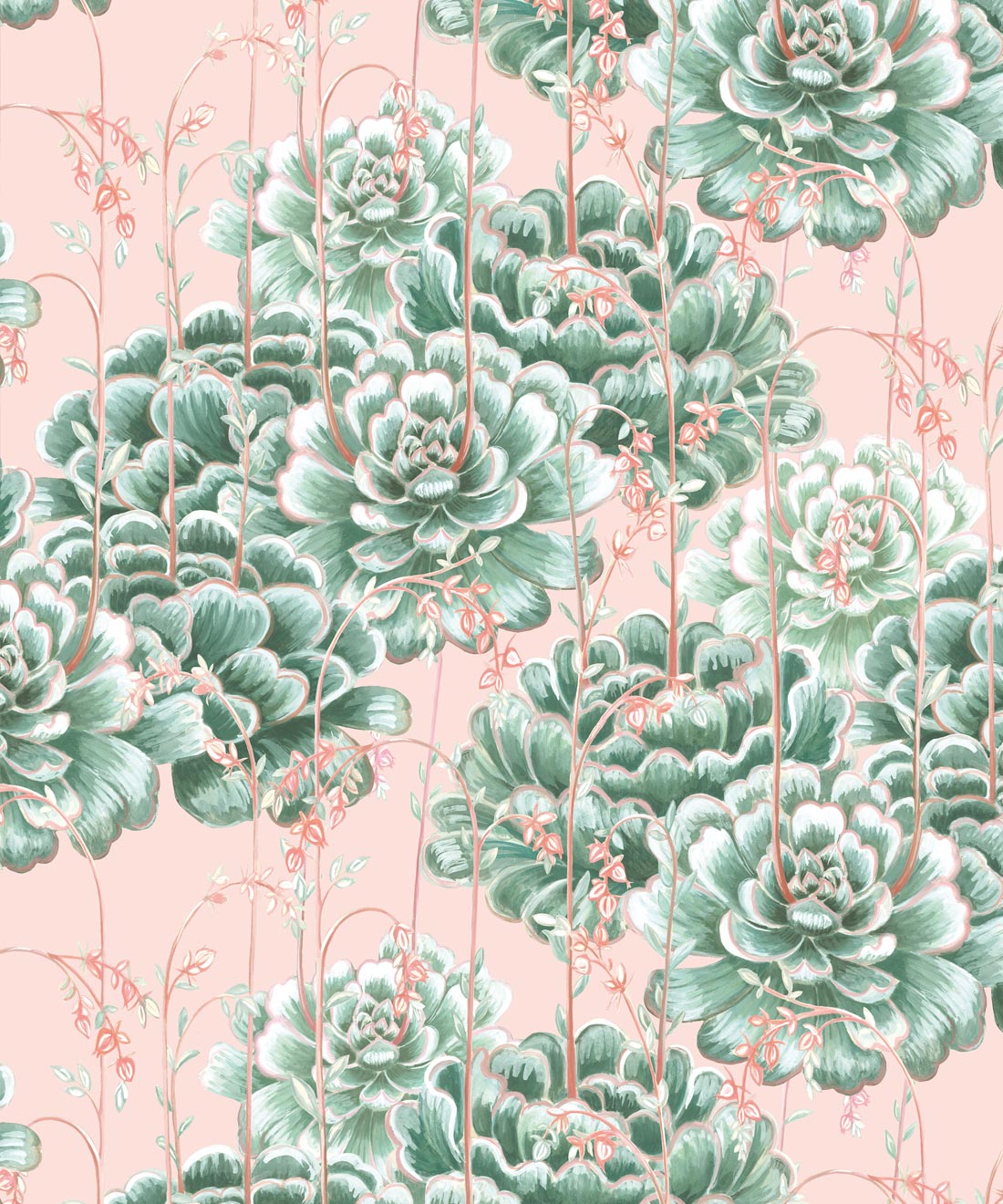 Succulents Wallpaper, Green Pink
