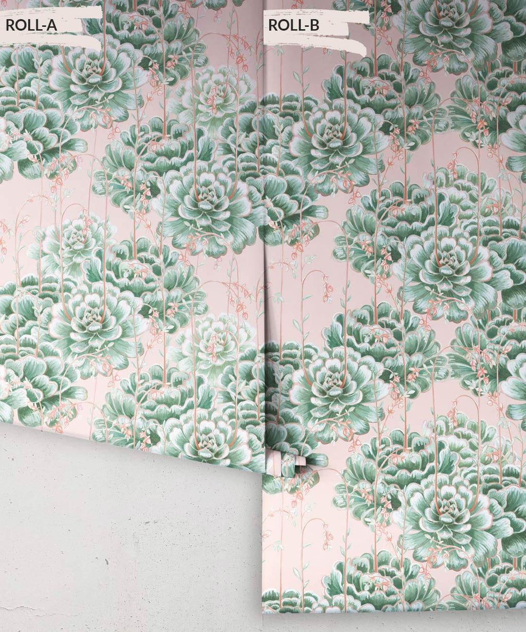 Succulents Wallpaper, Green Pink