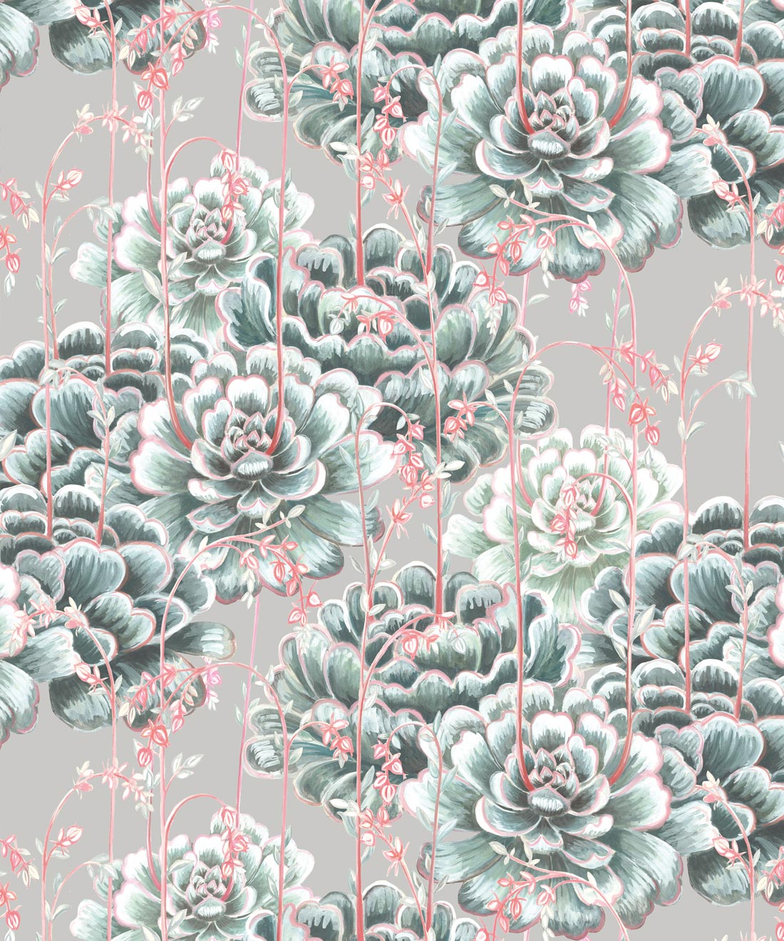 Succulents Wallpaper, Sage