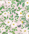 Rosa Wallpaper, Blush