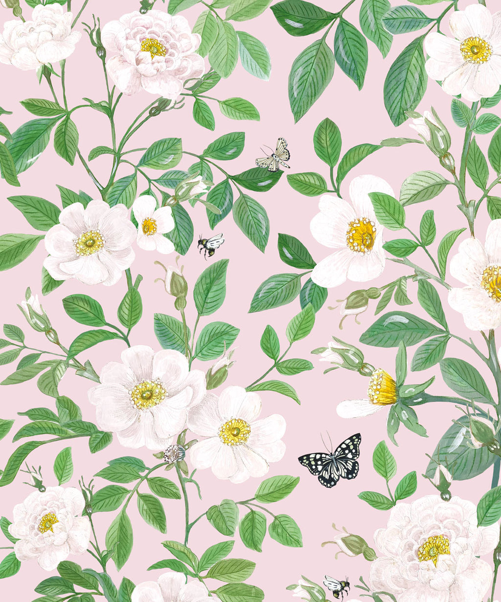 Rosa Wallpaper, Blush