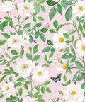 Rosa Wallpaper, Blush