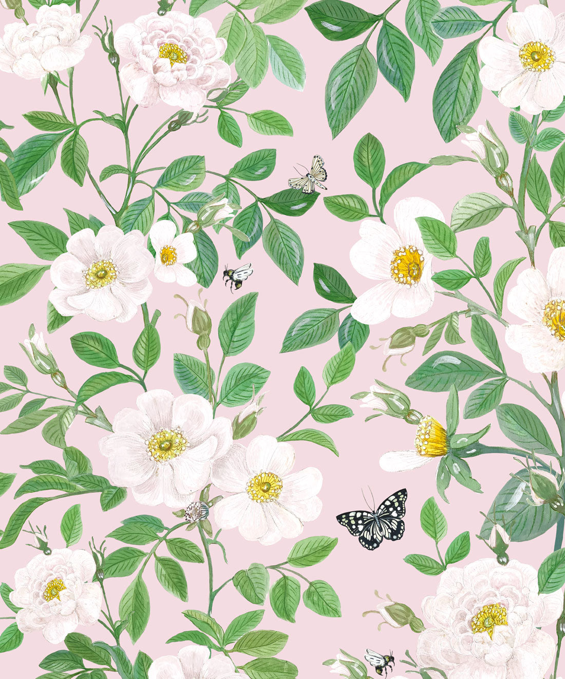 Rosa Wallpaper, Blush
