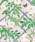 Treillage Wallpaper, Blush