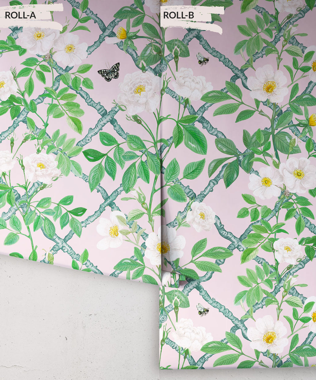 Treillage Wallpaper, Blush